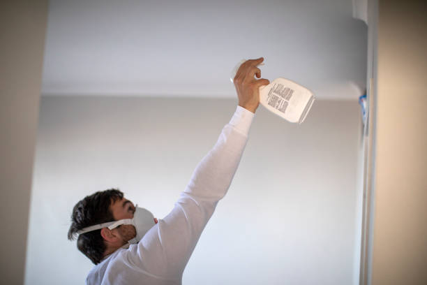 Best Mold Removal Near Me  in Ness City, KS
