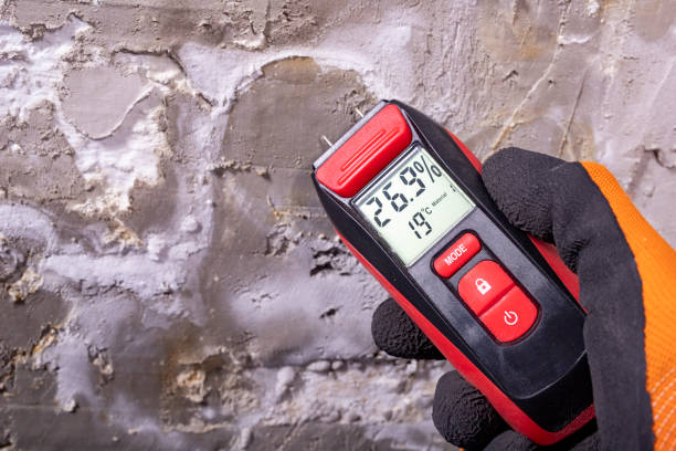 Mold Removal Process in Ness City, KS